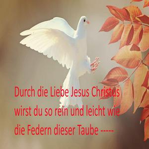 Glaube Anders