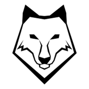 ryzenfm