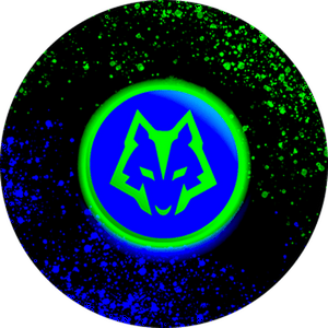 S Flux