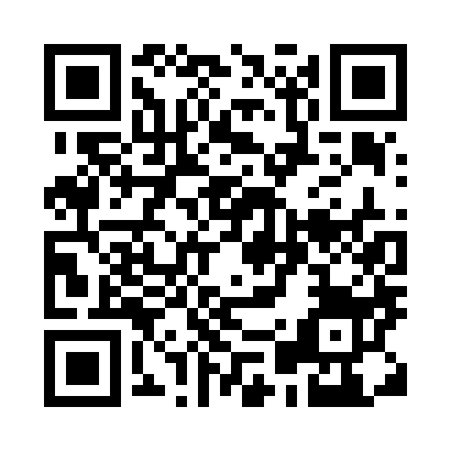 QR code per aprire The Disco Paradise su Radio-Play
